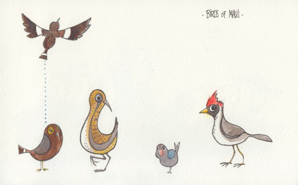birds