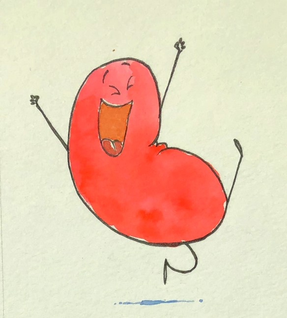 happy kidney